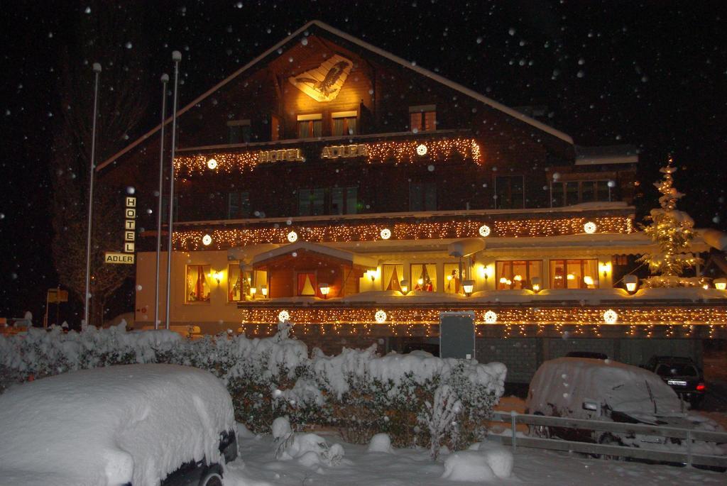Hotel Adler Зигрисвиль Экстерьер фото